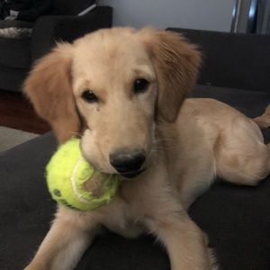 Meet your Posher, Brandy